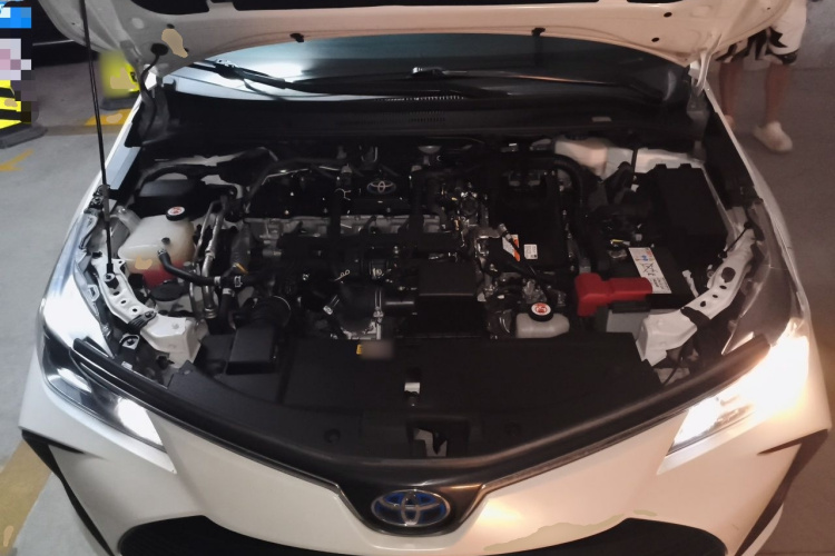 Toyota Corolla 2022 #22 Toyota Corolla 2022 car image #22