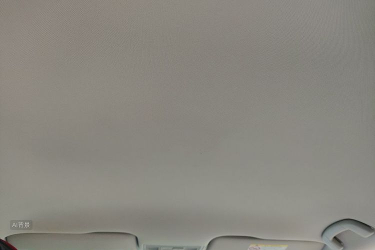 Volkswagen Bora 2019 car image #20