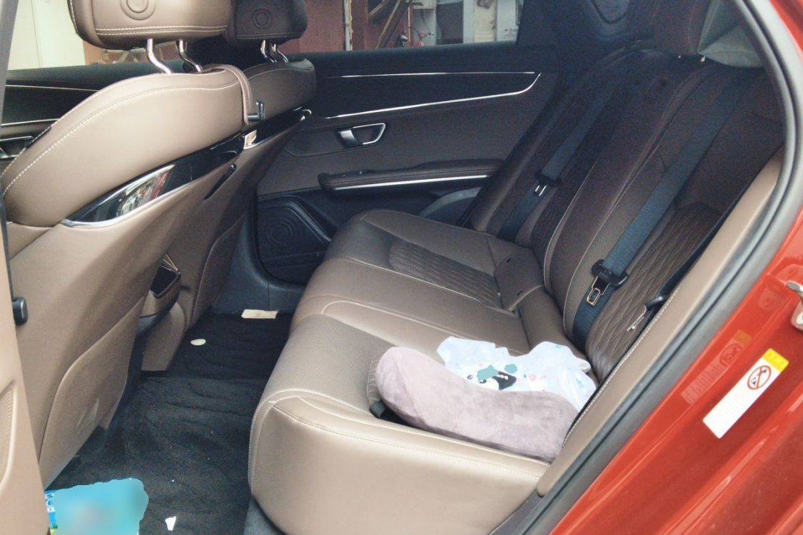 BYD Han 2020 car image #19