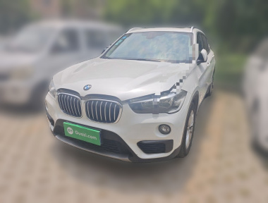 BMW X1 2019 car image 