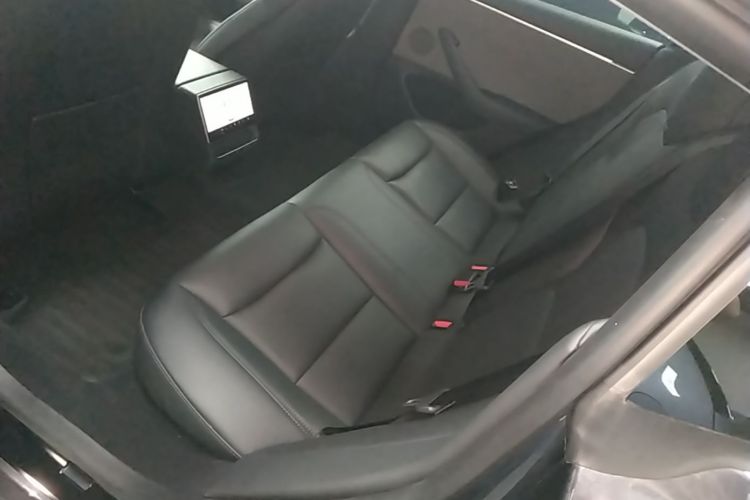 Tesla Model 3 2024 car image #17