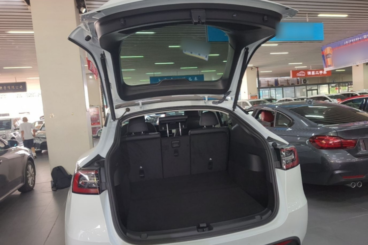 Tesla Model Y 2022 #19 Tesla Model Y 2022 car image #19