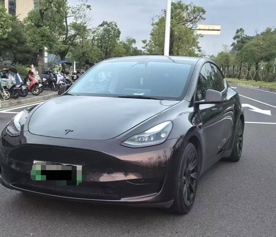 Tesla Model Y 2022 Tesla Model Y 2022 car image
