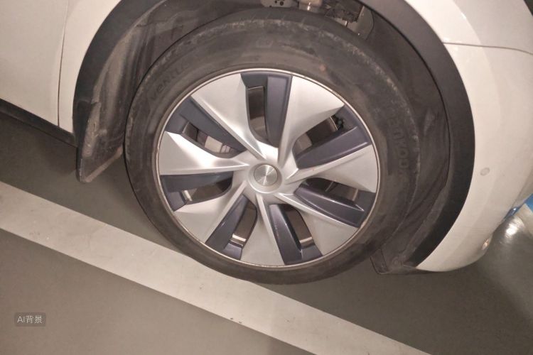 Tesla Model Y 2021 car image #9