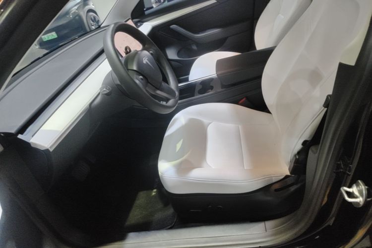 Tesla Model 3 2021 car image #15