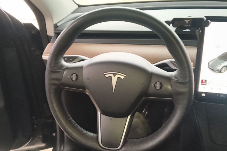 Tesla Model Y 2021 car image #15