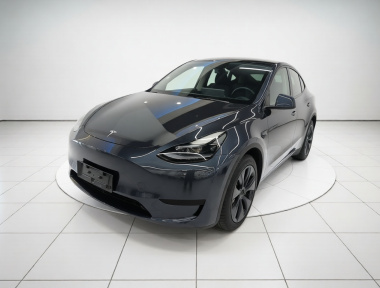 Tesla Model Y 2024 car image 