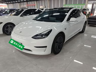 Tesla Model 3 2020 Tesla Model 3 2020 car image