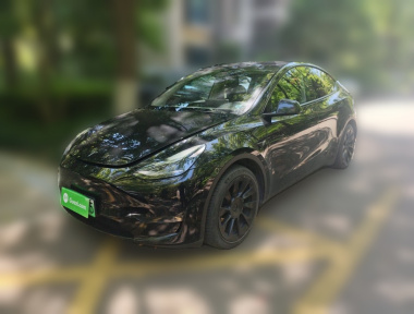 Tesla Model Y 2021 car image 