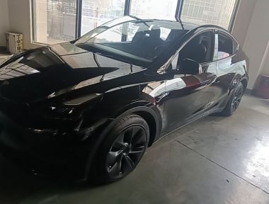 Tesla Model Y 2021 car image 