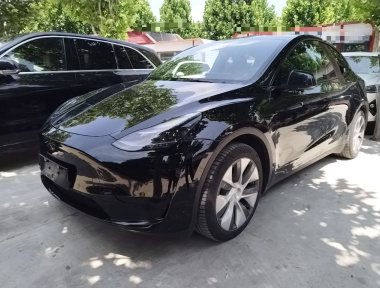 Tesla Model Y 2022 car image 