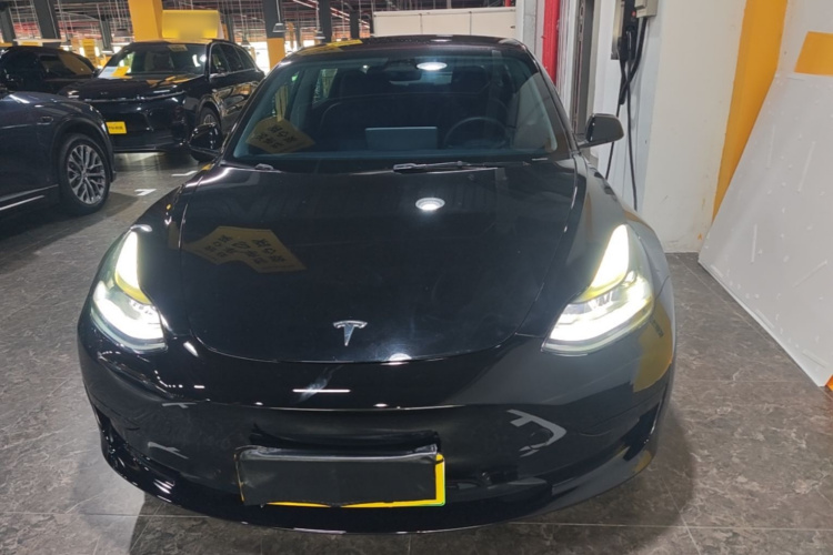 Tesla Model 3 2022 #3 Tesla Model 3 2022 car image #3