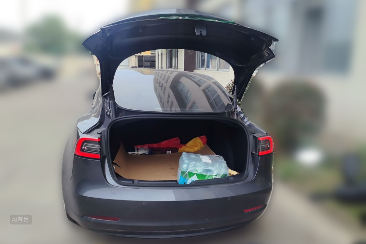 Tesla Model 3 2022 #21 Tesla Model 3 2022 car image #21
