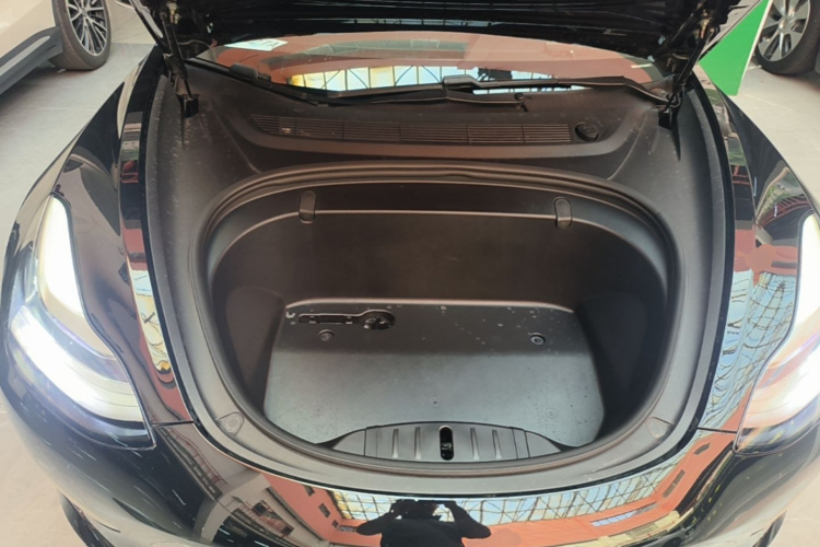 Tesla Model 3 2020 immagine di auto #20