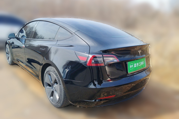 Tesla Model 3 2021 #5 Tesla Model 3 2021 car image #5