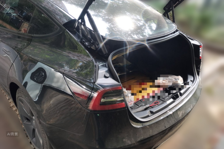 Tesla Model 3 2022 car image #21