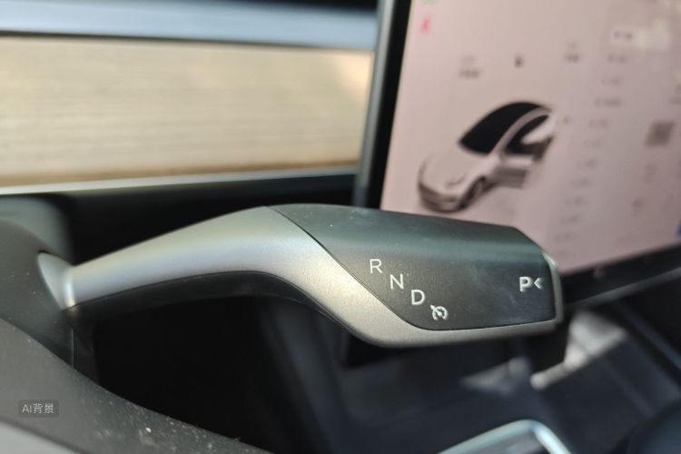 Tesla Model 3 2022 car image #16