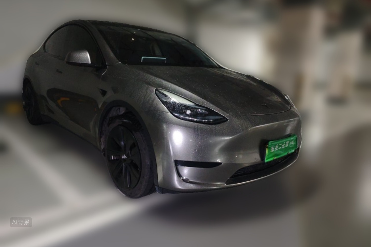 Tesla Model Y 2023 car image #4