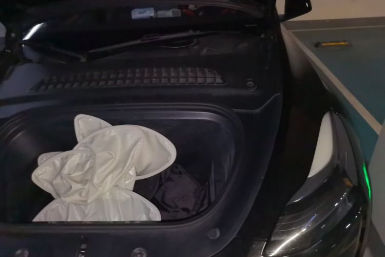 Tesla Model Y 2023 #24 Tesla Model Y 2023 car image #24