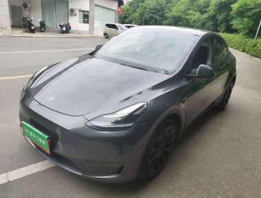 Tesla Model Y 2002 Tesla Model Y 2002 car image
