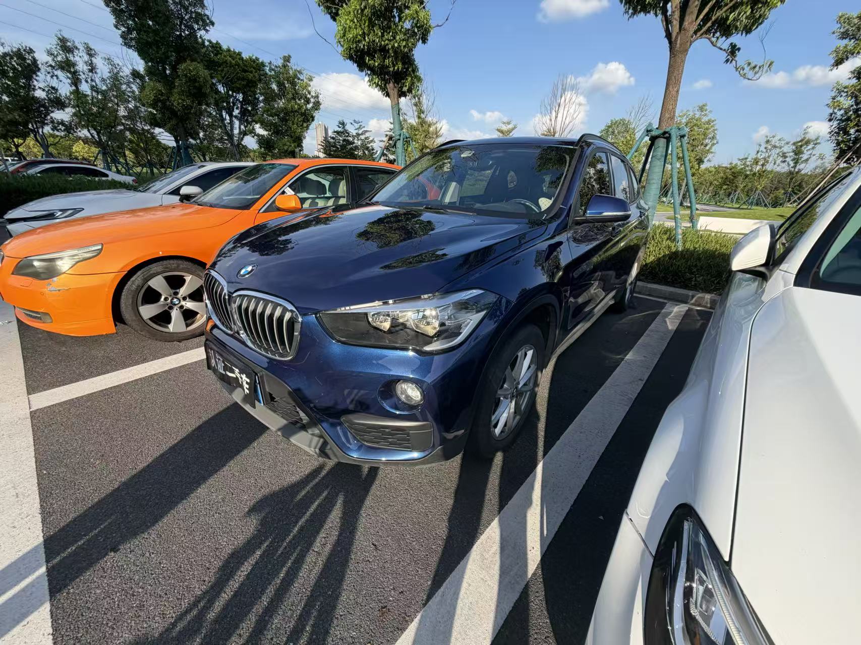 BMW X1 2019 car image 