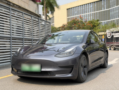 Tesla Model 3 2021 Tesla Model 3 2021 immagine di auto