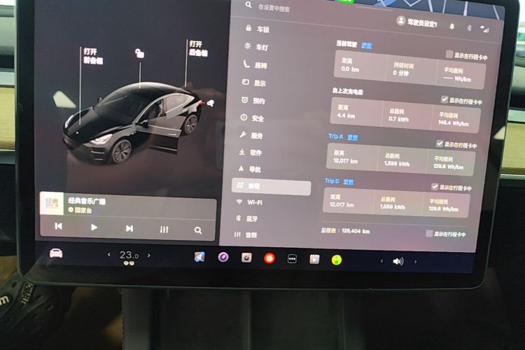Tesla Model 3 2021 car image #12