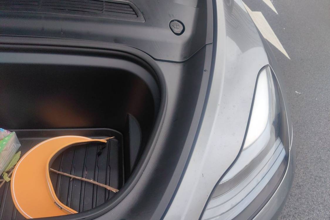 Tesla Model Y 2024 car image #12