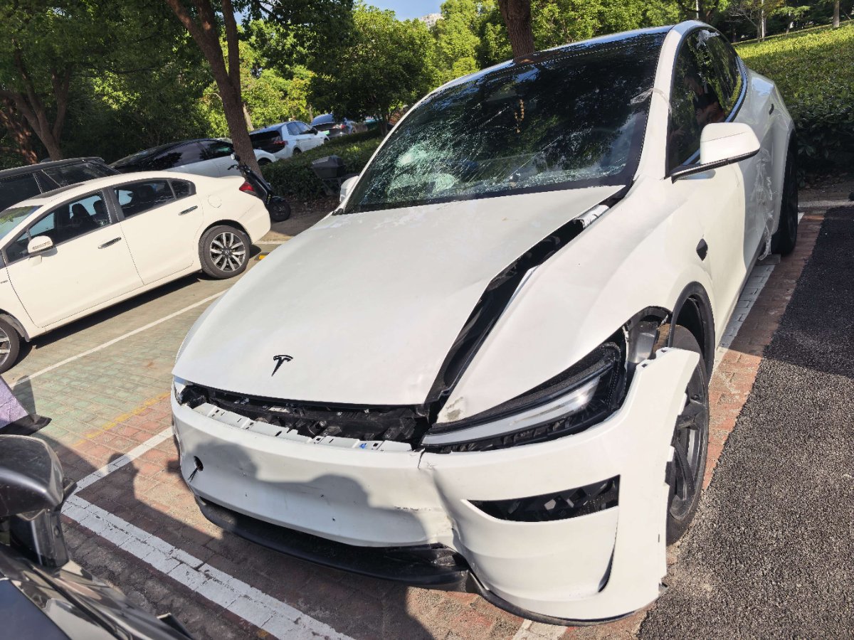 Tesla Model Y 2026 Tesla Model Y 2026 car image