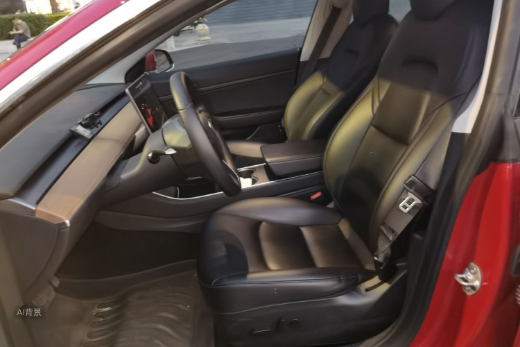 Tesla Model 3 2020 immagine di auto #17