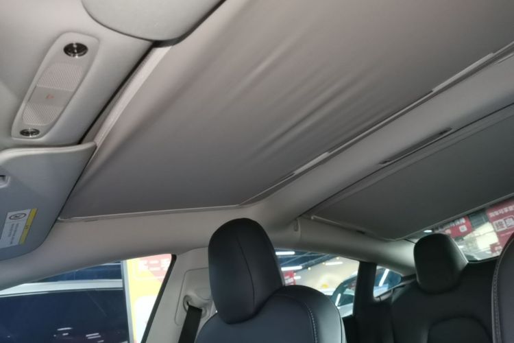 Tesla Model 3 2020 immagine di auto #18