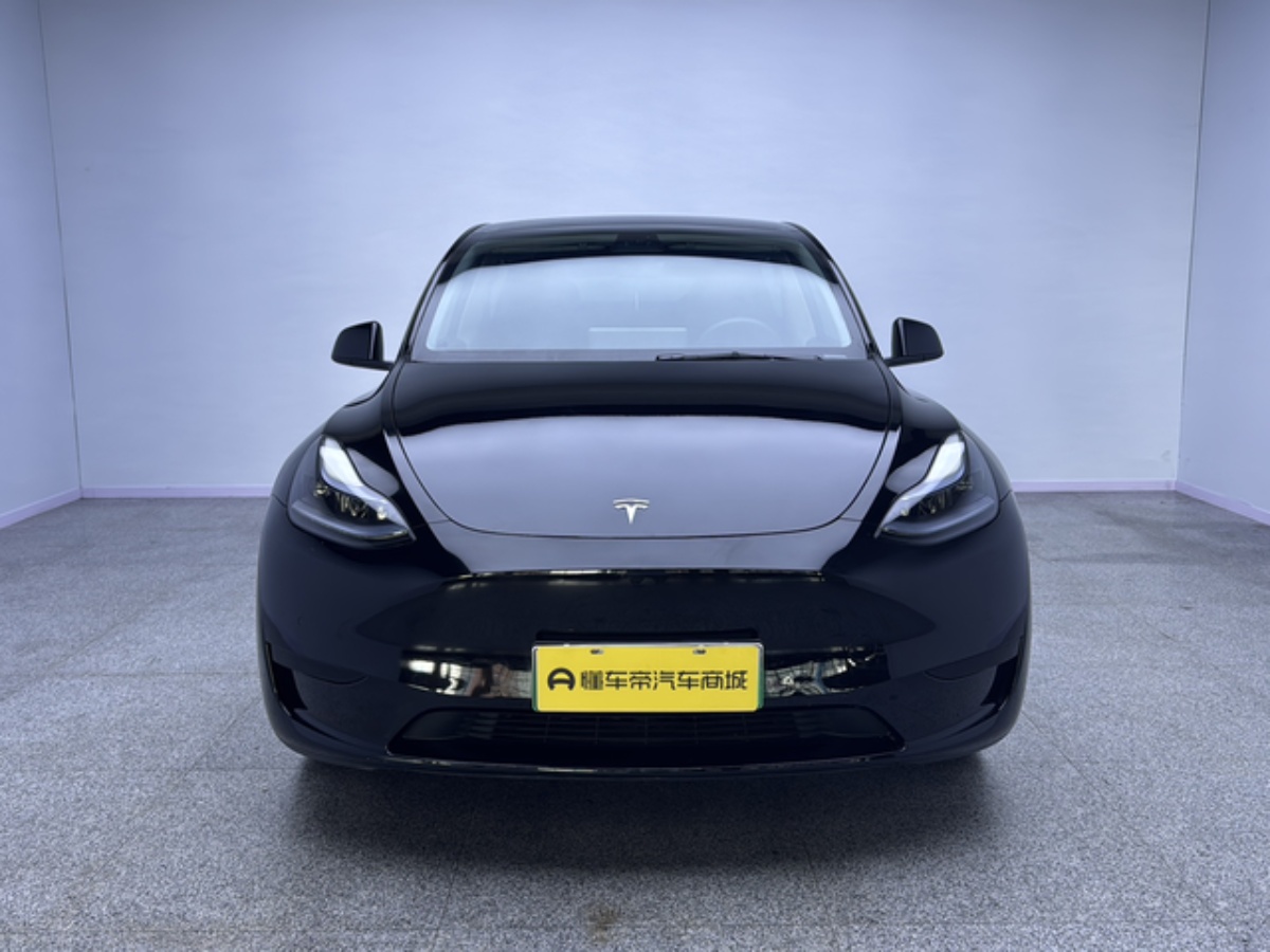 Tesla Model Y 2023 #2 Tesla Model Y 2023 car image #2