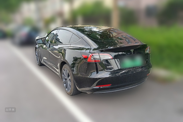 Tesla Model 3 2021 #5 Tesla Model 3 2021 car image #5