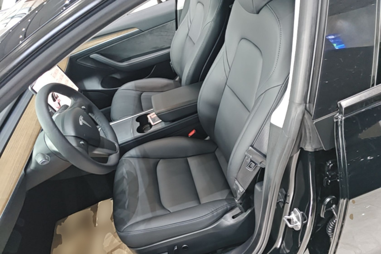 Tesla Model 3 2021 car image #15