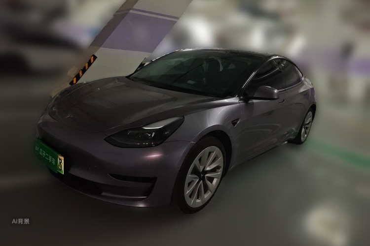 Tesla Model 3 2022 #2 Tesla Model 3 2022 car image #2
