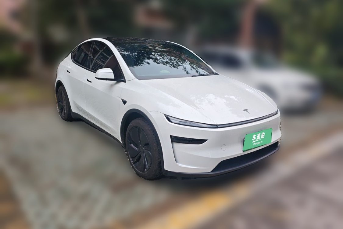 Tesla Model Y 2025 immagine di auto #2