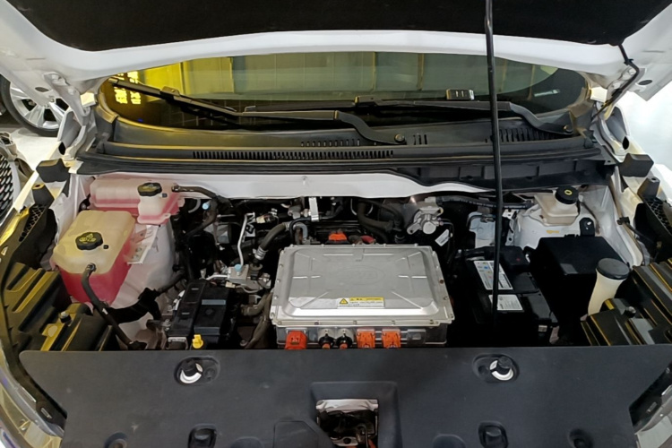 BYD Yuan New Energy 2020 car image #20