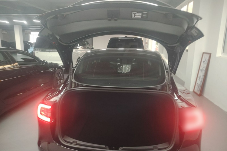 Tesla Model 3 2023 #19 Tesla Model 3 2023 car image #19