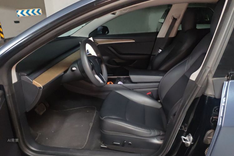 Tesla Model 3 2021 #17 Tesla Model 3 2021 car image #17