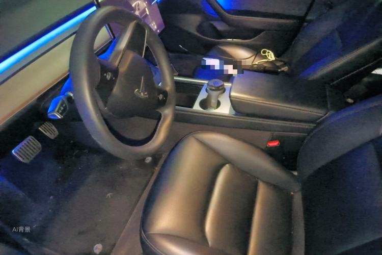 Tesla Model 3 2022 immagine di auto #17