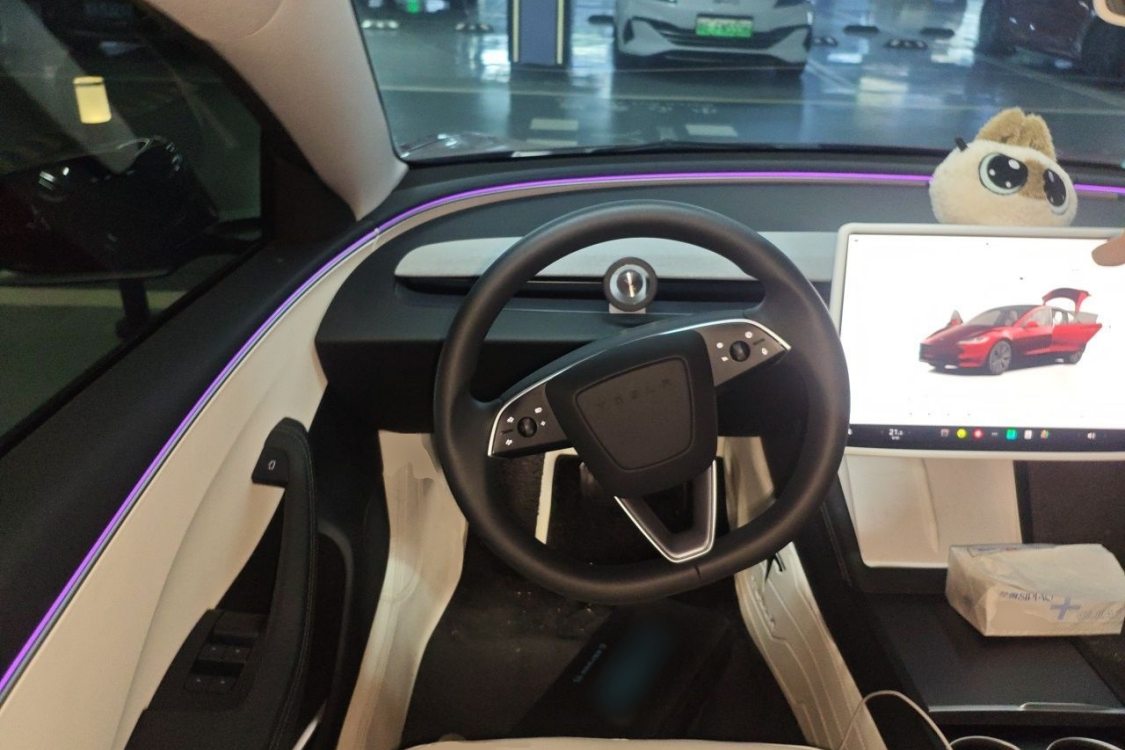 Tesla Model 3 2024 #22 Tesla Model 3 2024 car image #22