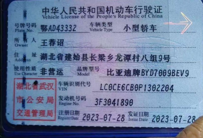 BYD Han 2023 #7 BYD Han 2023 image de voiture #7