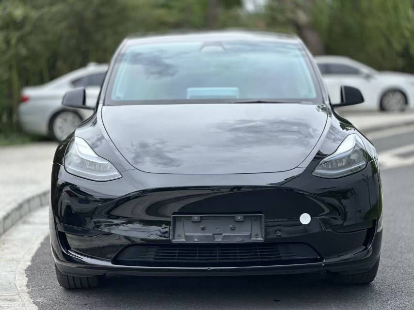 Tesla Model Y 2023 car image #2