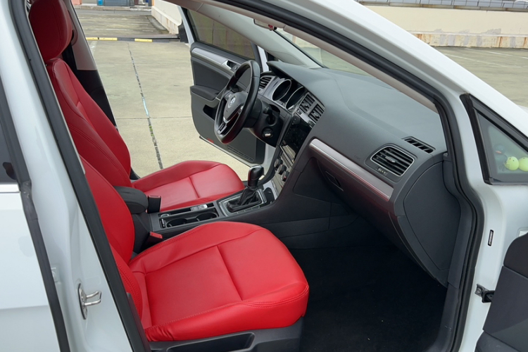 Volkswagen Golf 2020 car image #11