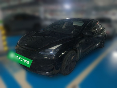 Tesla Model 3 2023 car image 
