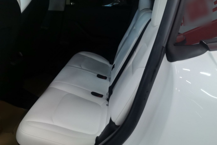 Tesla Model Y 2022 #17 Tesla Model Y 2022 car image #17