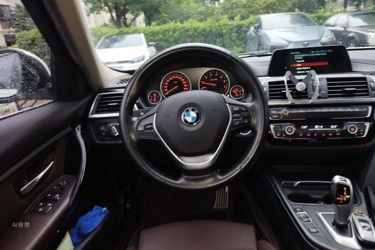 BMW 3 Series 2018 car image #12