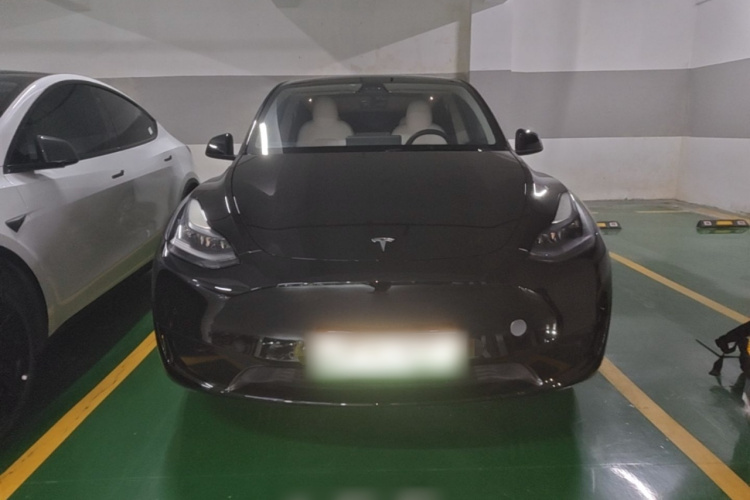 Tesla Model Y 2022 #3 Tesla Model Y 2022 car image #3