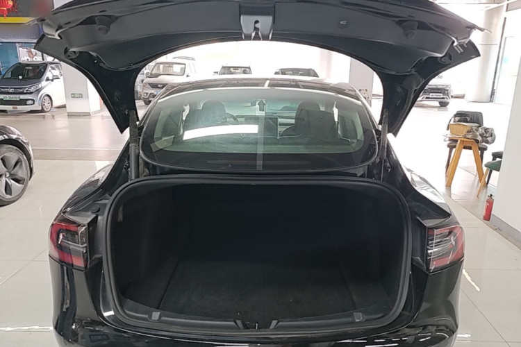 特斯拉 Model 3 2021 汽车图片 #19