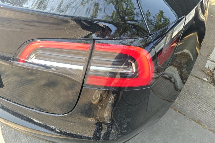 Tesla Model 3 2021 #8 Tesla Model 3 2021 car image #8